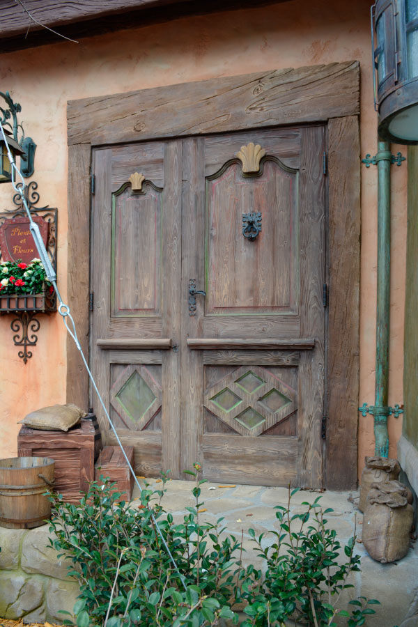 custom door
