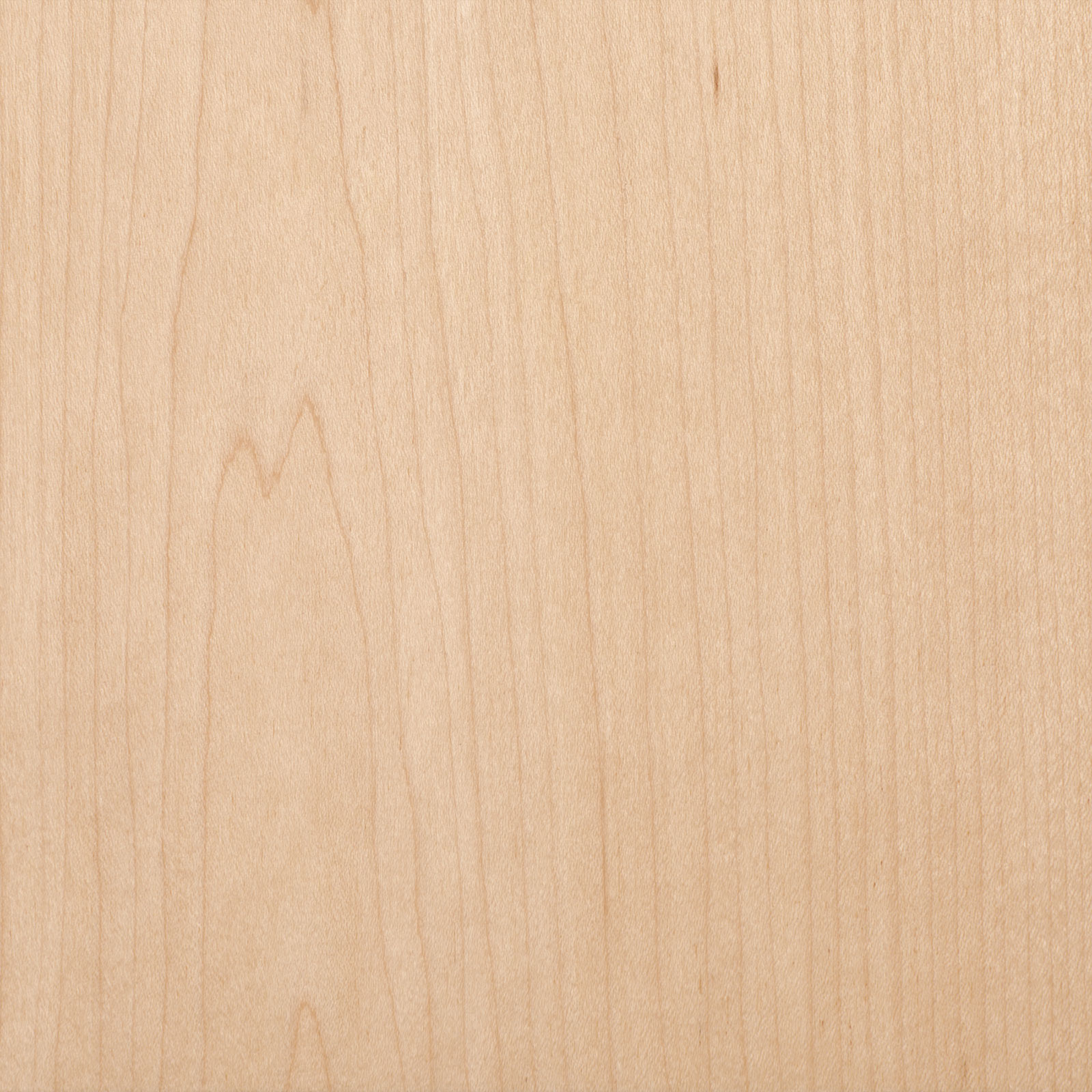 White Maple | TruStile Doors