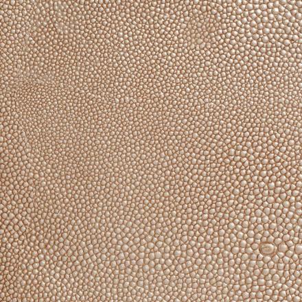 Shagreen Café Latte