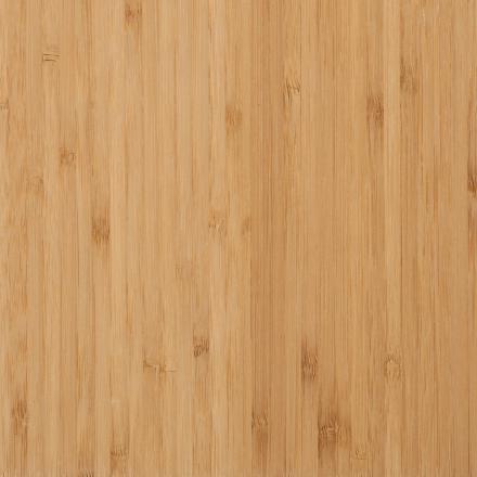 Bamboo