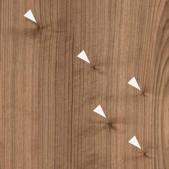 Detail of walnut wood showing conspicuous burl