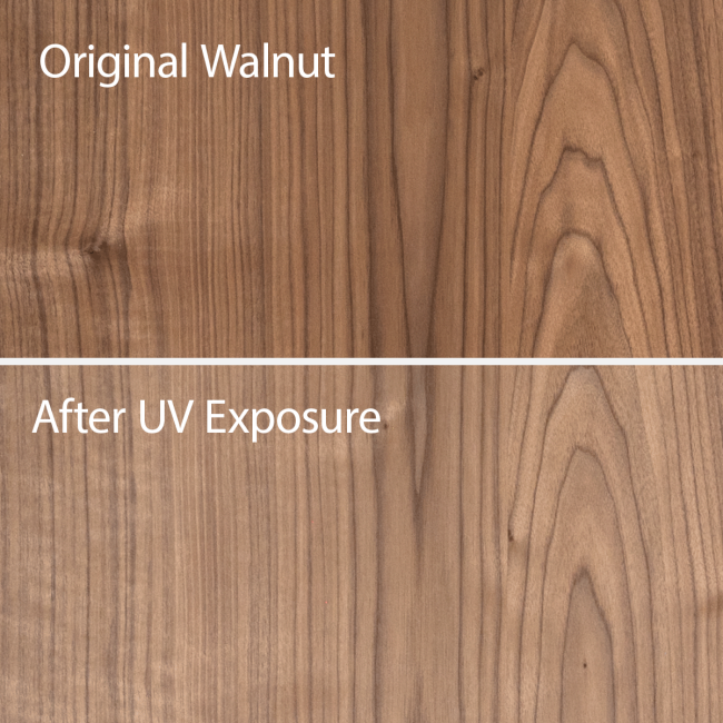 Detail of walnut sample showing fading from prolonged exposure to UV light.