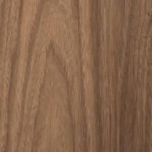 Detail of walnut