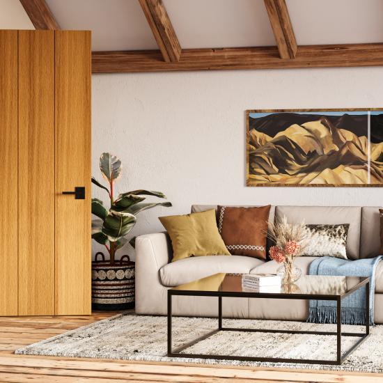 TMP1003 wooden plank door set in a rustic living room.