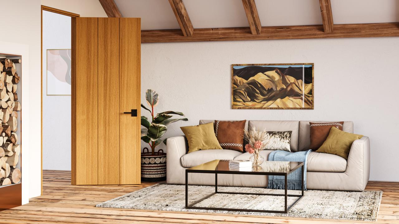 TMP1003 wooden plank door set in a rustic living room.