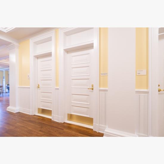 Custom 5-panel door in MDF with Bolection Moulding (BM) and Senior Raised (E) panel.