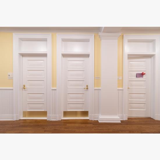 Custom 5-panel door in MDF with Bolection Moulding (BM) and Senior Raised (E) panel.