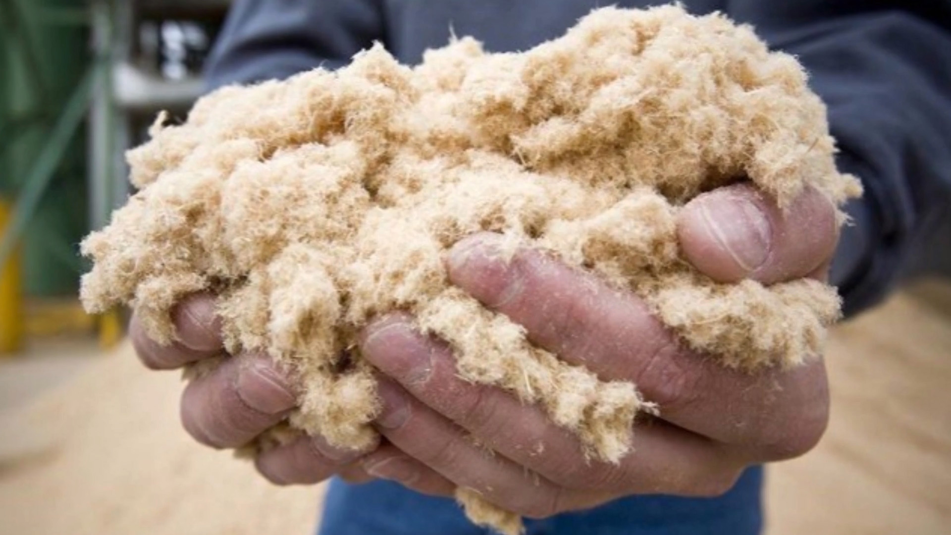 Hands holding a clump of wood fibers to be made into MDF