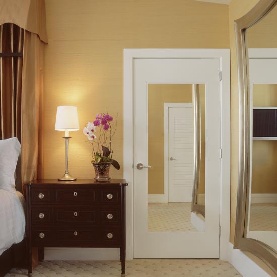 TS1000 Hotel Door with Inset Mirror